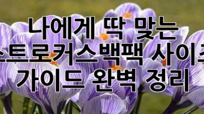 나에게 딱 맞는 스트로커스백팩🎒 사이즈 가이드 완벽 정리!